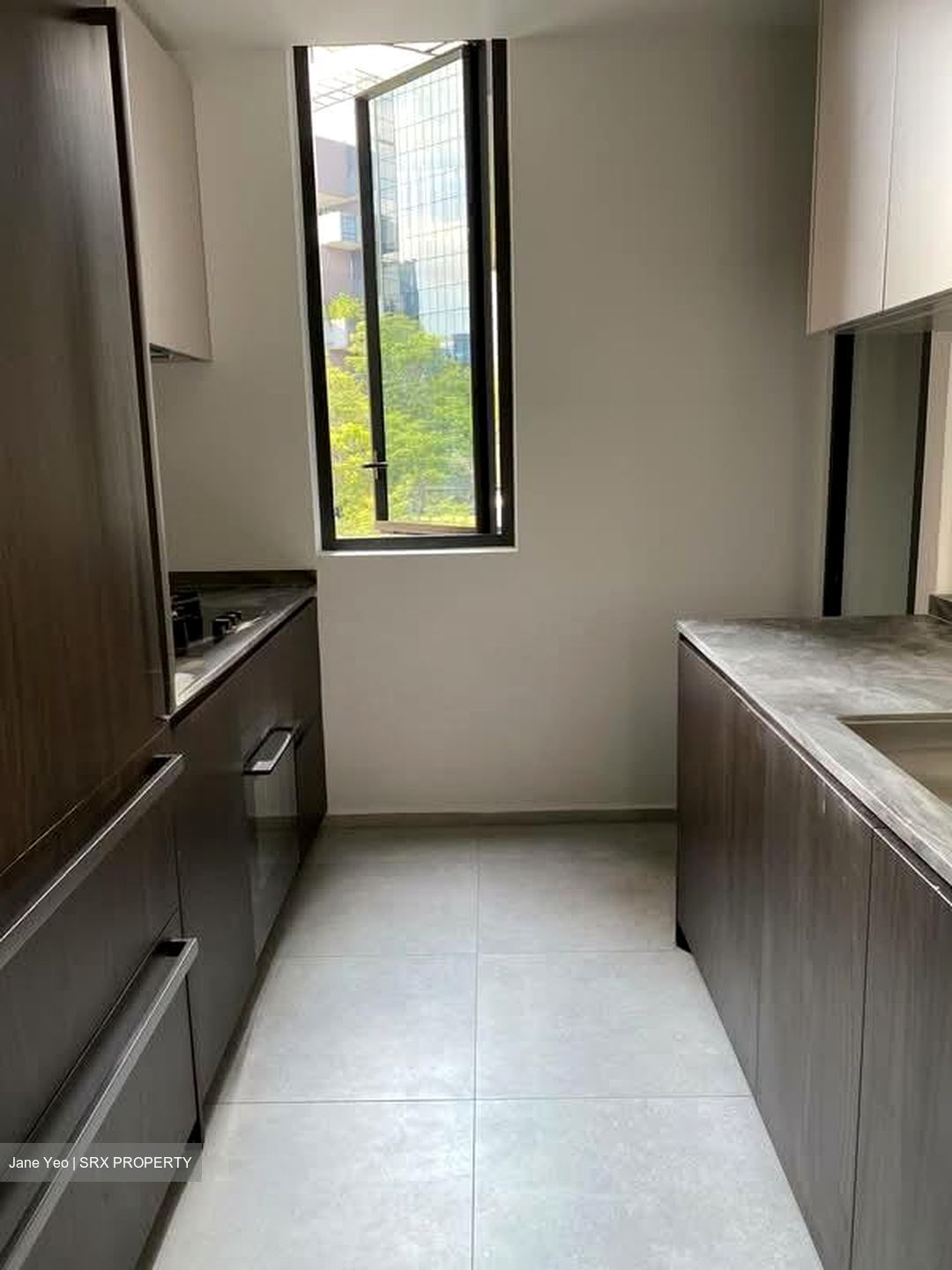 Leedon Green (D10), Condominium #559871691